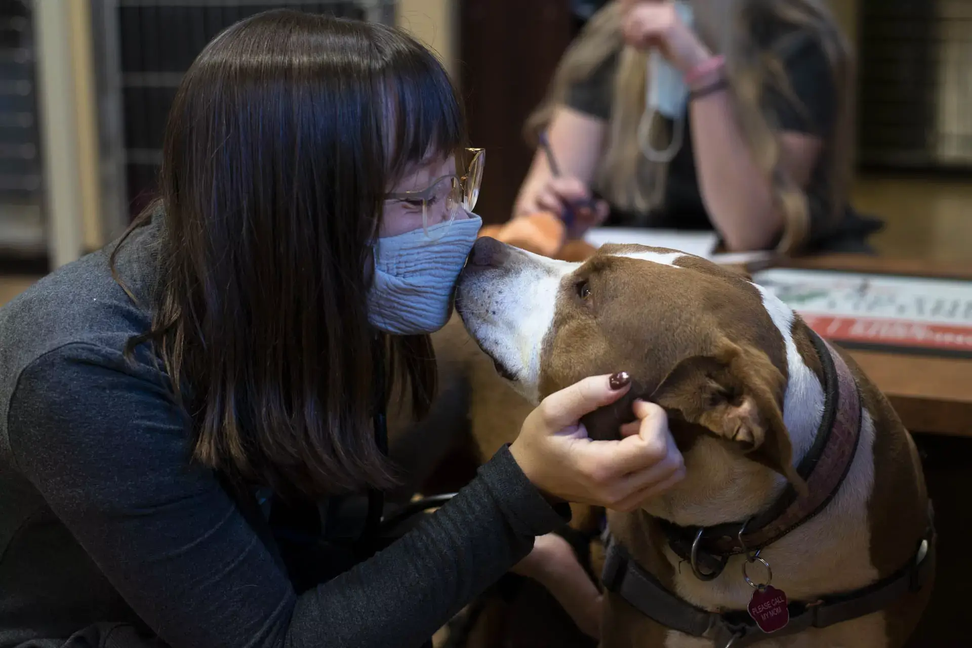 veterinary technichian working with a dog